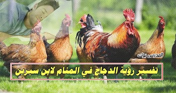 فسر حلمك~ تفسير روية الدجاج في المنام للشيخ محمد ابن سيرين والنابلسي