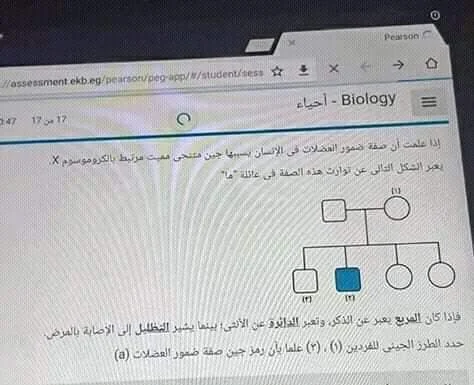 تحميل امتحان الاحياء مارس تجريبي تابلت 2023