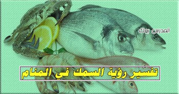  فسر حلمك~ رؤية السمك في المنام اعرف رأي الشيخ محمد ابن سيرين والنابلسي
