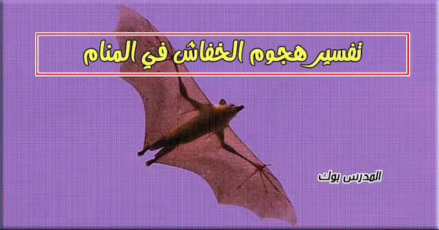تفسير الخفاش في المنام للعزباء