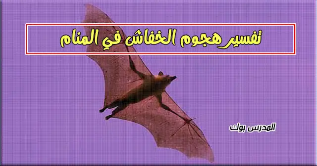 تفسير الخفاش في المنام للعزباء تفسير الخفاش في المنام للعزباء