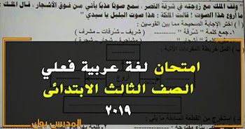 امتحان لغة عربية الصف الثالث الابتدائي 2019 فعلي جميع المحافظات