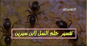  فسر حلمك~ تفسير رؤية النمل في المنام للشيخ محمد ابن سيرين والنابلسي