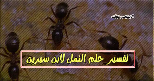 تفسير النمل في المنام