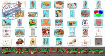 موسوعة صور علمية لمادة العلوم لكل المراحل التعليمية