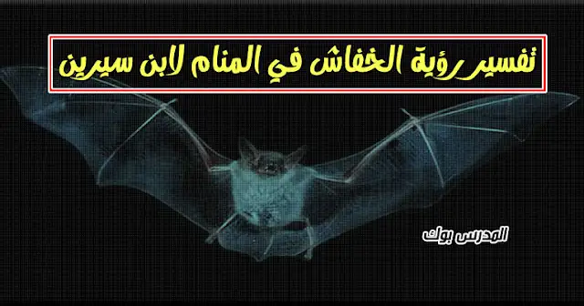 تفسير الخفاش في المنام للعزباء تفسير الخفاش في المنام للعزباء