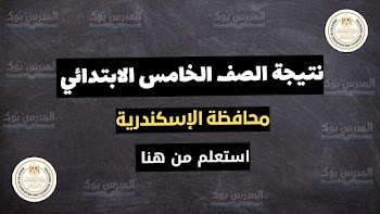 مبروك~ نتيجة الصف الخامس الابتدائي محافظة الاسكندرية الترم الأول 2024 بالأسم ورقم الجلوس