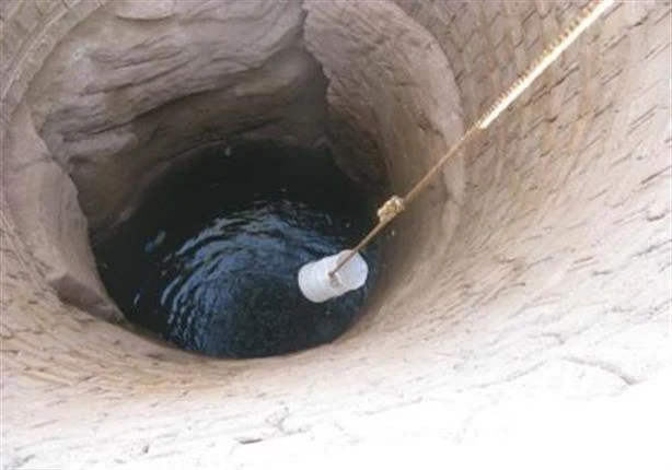 اجابة سؤال دور الروافع في دعم الحياة في البيئة الصحراوية , دور الروافع في دعم الحياة في البيئة الصحراوية , دور الروافع بحث الصف السادس , ما هو دور الروافع في الحياة الصحراوية اجابة سؤال دور الروافع في دعم الحياة في البيئة الصحراوية , دور الروافع في دعم الحياة في البيئة الصحراوية , دور الروافع بحث الصف السادس , ما هو دور الروافع في الحياة الصحراوية
