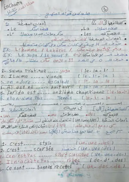 مراجعة وملخص قواعد اللغة الفرنسية للصف الثالث الثانوي PDF