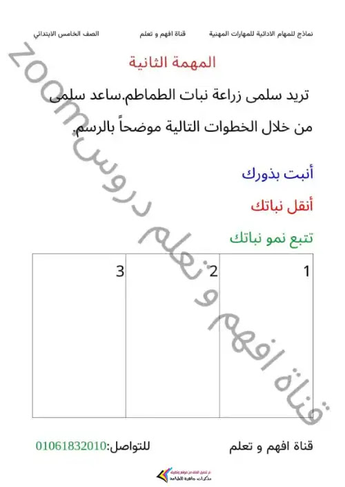 المهام الادائية مهارات مهنية للصف الخامس الابتدائي الترم الاول بالاجابات PDF PDF