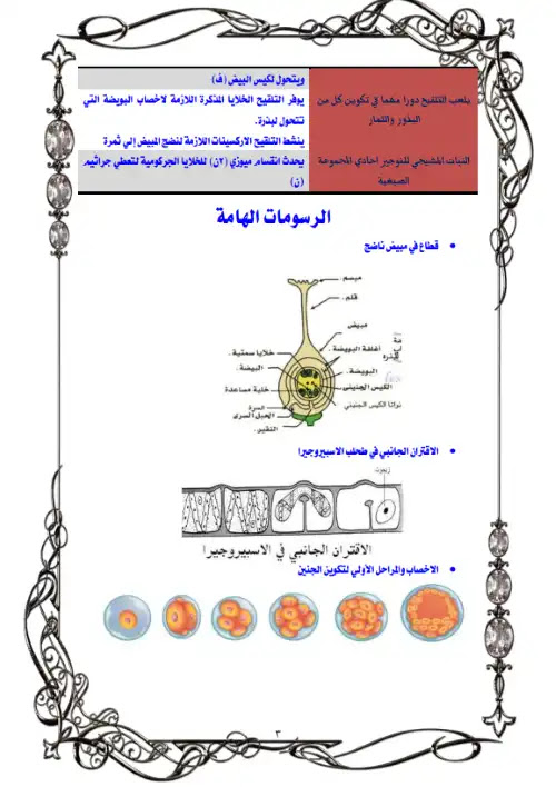 مراجعة احياء الجزء الثاني تالتة ثانوي - اعداد سلسلة آل زين PDF