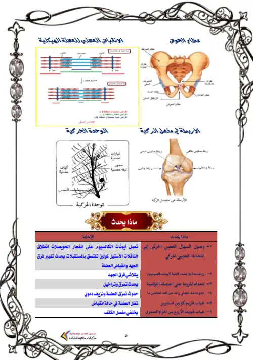 مراجعة احياء الجزء الاول تالتة ثانوي - اعداد سلسلة آل زين PDF