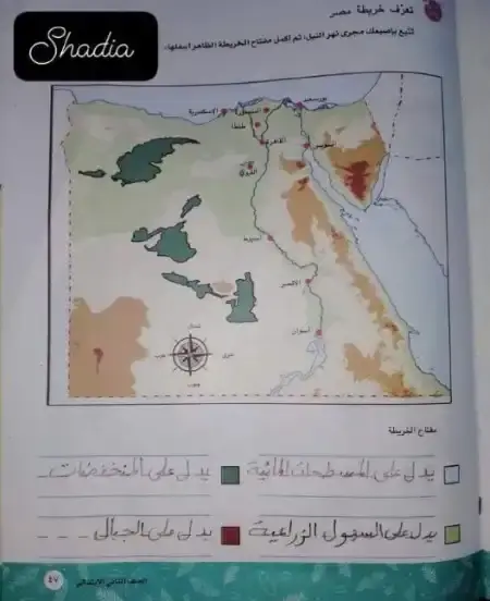 حل كتاب اكتشف للصف الثاني الابتدائي الترم الثاني 2025 / 2024 PDF PDF