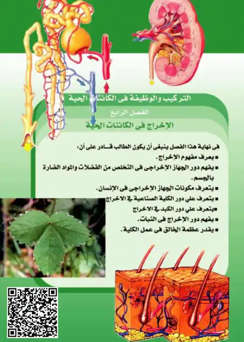 تحميل كتاب الوزارة في الاحياء للصف الثاني الثانوي الترم الثاني PDF PDF