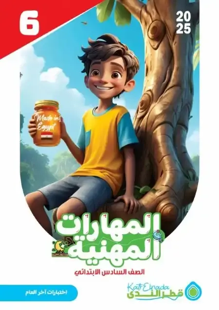 نماذج اختبارات مهارات للصف السادس الابتدائي الترم الثاني PDF بالاجابات PDF