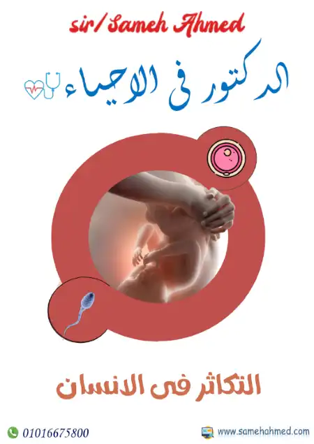 أفضل شرح لباب التكاثر في الانسان احياء للصف الثالث الثانوي PDF