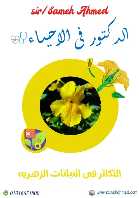 أفضل شرح للتكاثر فى النباتات الزهرية للصف الثالث الثانوي PDF