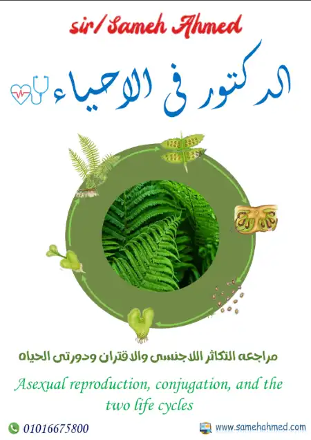 مراجعة التكاثر اللاجنسى والاقتران ودورتى الحياة للصف الثالث الثانوي PDF