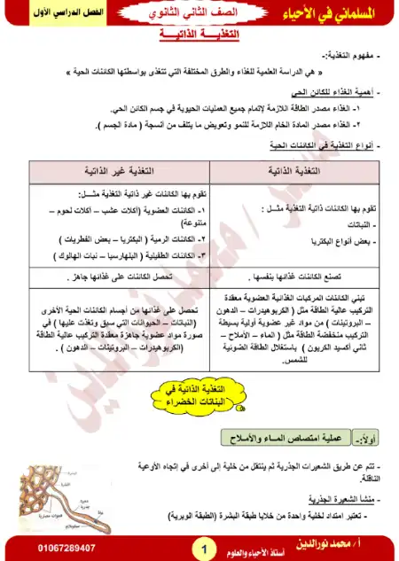 مذكرة احياء للصف الثاني الثانوي الترم الاول PDF PDF