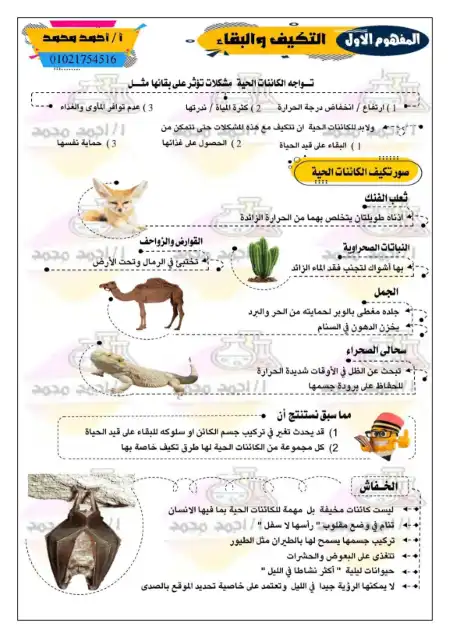 مذكرة الخيميائي علوم للصف الرابع الابتدائي ترم اول 2024 / 2025 PDF PDF