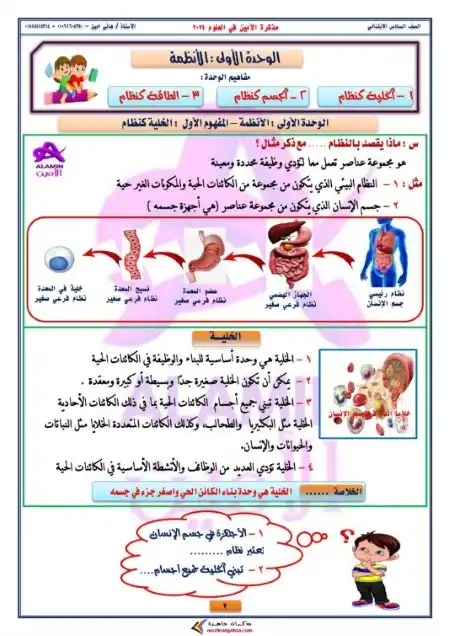 مذكرة الأمين علوم للصف السادس الابتدائي الترم الاول PDF PDF