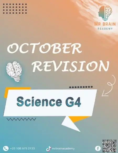 مراجعة شهر اكتوبر للصف الرابع الابتدائي ساينس 2024 PDF بالاجابات PDF