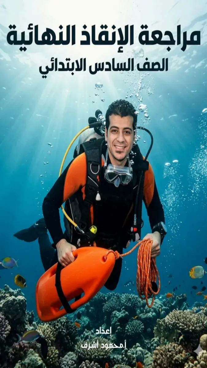 ملخص منهج اللغة العربية للصف السادس الابتدائي الترم الثاني 2026 PDF PDF