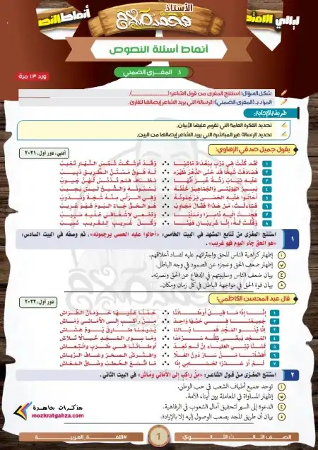 انماط اسئلة القراءة والنصوص للصف الثالث الثانوي مستر محمد صلاح 2024 PDF PDF