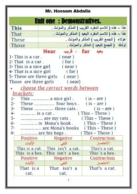 مذكرة جرامر انجليزي للصف الثاني الابتدائي الترم الاول PDF PDF