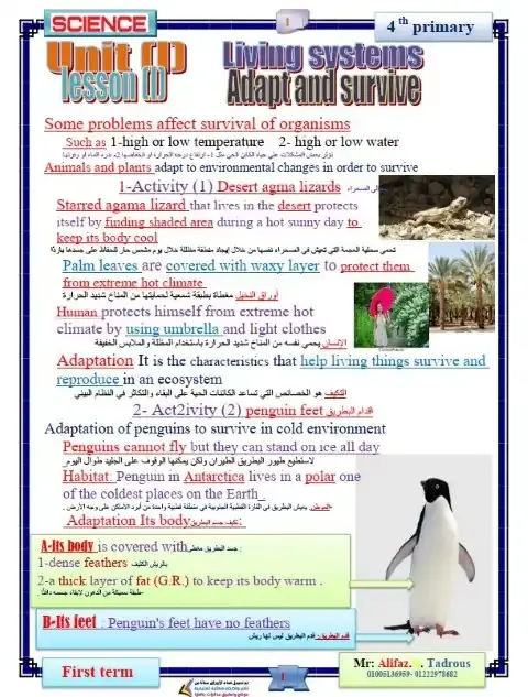 أحدث مذكرة Science للصف الرابع الابتدائي الترم الاول PDF PDF