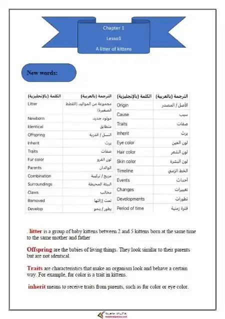 ملخص ومراجعة المحور الاول Discover للصف الثالث الابتدائي الترم الثاني 2025 / 2024 PDF PDF