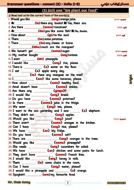 بالاجابات مراجعة جرامر للصف الخامس الابتدائي الترم الاول 2025 PDF PDF