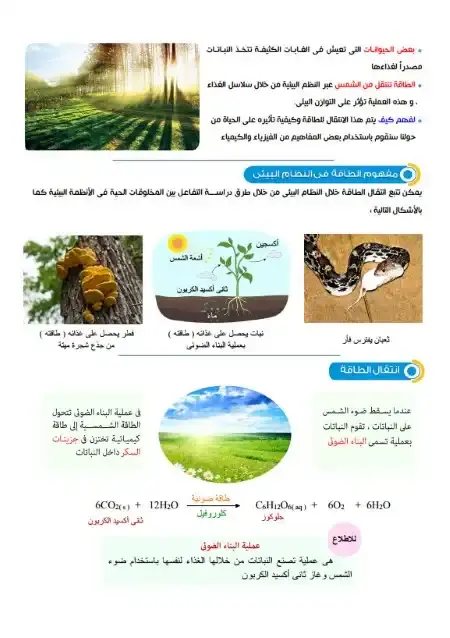 مذكرة العلوم المتكاملة للصف الاول الثانوي الترم الثاني 2025 / 2024 PDF PDF