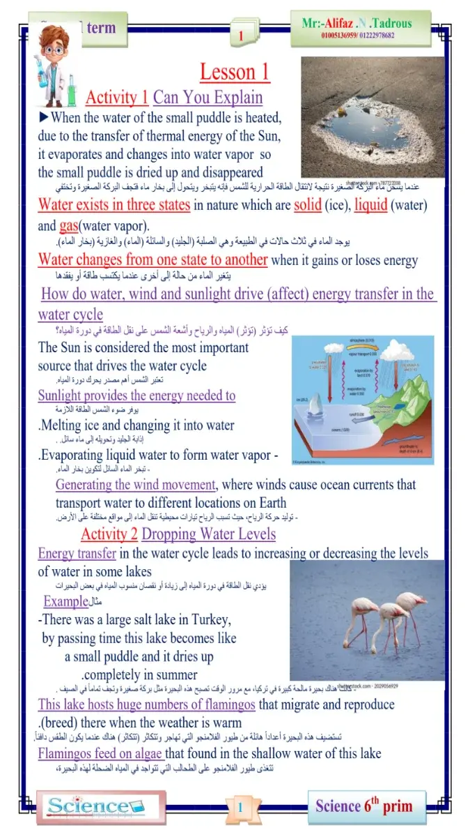 تحميل مذكرة Science للصف السادس الابتدائي الترم الثاني 2026 PDF بالاجابات PDF