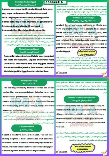 براجرافات اللغة الانجليزية للصف السادس الابتدائي الترم الثاني 2025 / 2024 PDF PDF