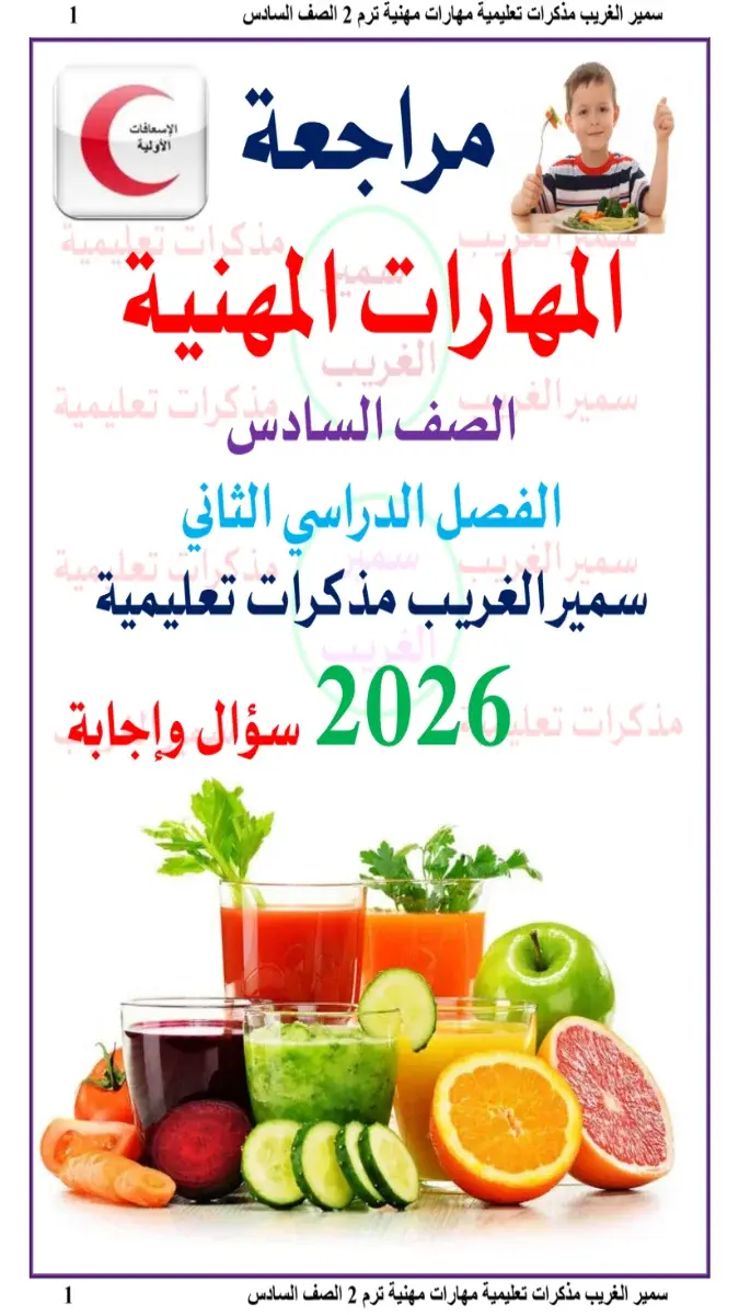 تحميل المراجعة النهائية مهارات للصف السادس الابتدائي الترم الثاني بالاجابات 2026 PDF PDF