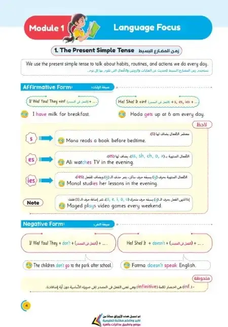 كتاب الأضواء تأسيس لغة انجليزية للمرحلة الابتدائية PDF PDF