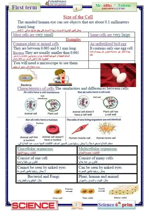 أحدث مذكرة Science للصف السادس الابتدائي الترم الاول PDF PDF