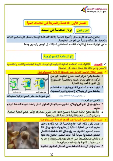 مذكرة الحوت في احياء تالتة ثانوي PDF