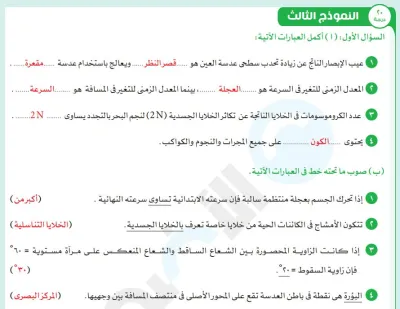 بالإجابات مراجعة الأضواء في جميع مواد ثالثة إعدادي ترم أول 2024 PDF