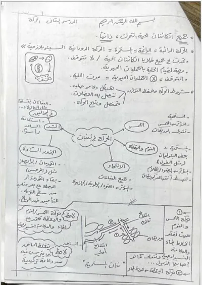 شرح جوهريات الحركة في الأحياء للصف الثالث الثانوي PDF