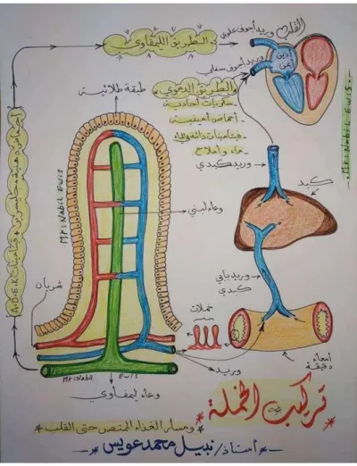 الرسومات الهامة في مادة الأحياء للصف الثاني الثانوي PDF