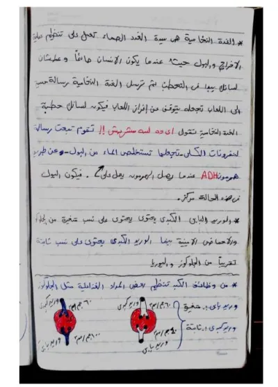 شرح منهج مادة الأحياء للصف الثاني الثانوي الترم الثاني PDF