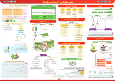 في ٥ صفحات ملخص درس التغذية لمادة الاحياء بالرسومات مع اهم الاسئلة للصف الثاني الثانوي الترم الأول PDF