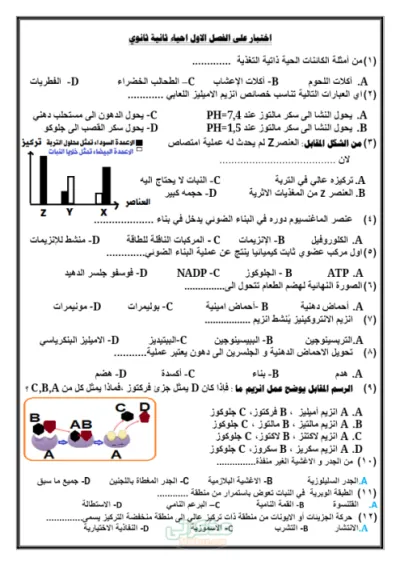 اختبار مراجعة ليلة الامتحان للفصل الأول لمادة الاحياء للصف الثاني الثانوي الترم الأول PDF