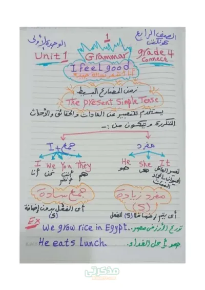 مراجعة شاملة جرامر كونكت مع مس نيفين سعيد في الانجليزية رابعة ابتدائي الترم الاول PDF