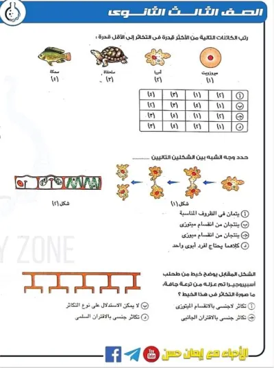 مذكرة ليلة الامتحان أحياء للصف الثالث الثانوي PDF