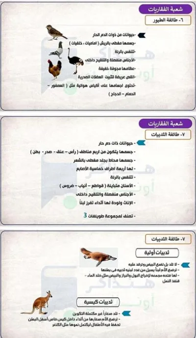 مراجعة نهائية شرح أحياء أولى ثانوي ترم ثاني PDF