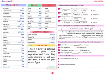 مراجعه هامه واسئله ع قواعد وكلمات اللغه الانجليزيه للصف الرابع الابتدائى الترم الاول PDF