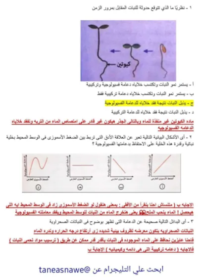امتحان علي فصل الدعامه والحركه مستويات عليا للصف الثالث الثانوي الترم الاول PDF
